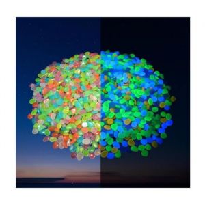 300 Pi&egrave;ces Lumineux CaillouxDecoratif Pierres Lumineuse Exterieur Cailloux Aquarium Convient Pour Les Plantes D&eacute;coratives (1cm)