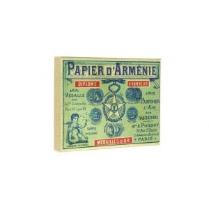 papier darménie coffret vintage 1900 et ses 12 carnets