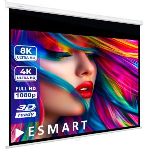 ESMART Professionnel MIROLO Toile pour store enrouleur 244 x 183 cm (120) 4:3  Écran de projecteur home cinéma écran Rollo LCD LED