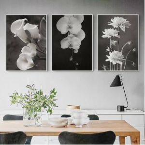 Toile tableau de peinture sur fond noir belles affiches et de fleurs blanches images dart mural Decoration 40x60cm sans cadre