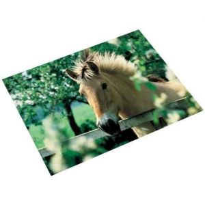 Sous-main - LAUFER - Cheval devant la cl&ocirc;ture - 400 x 530 mm - Antid&eacute;rapant - Lavable