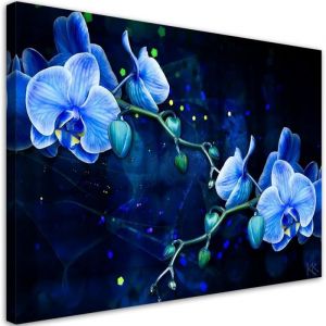 1 pièces Impression sur Toile 40x60cm Orchidées Nature Fleurs Image Photo Graphique Tableux Couloir Fond Texture Abstraction bleu