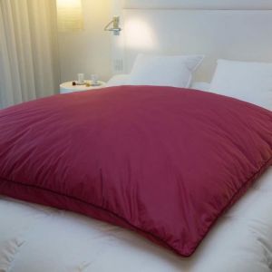 &Eacute;dredon gonflant - CASTEX COUETTES NATURELLES - Jacquard grenat - 140x160 cm - 90% duvet neuf