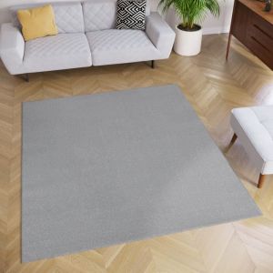 TAPISO Tapis de Salon Chambre Carr&eacute; MONO Gris Design Uni R&eacute;sistant Int&eacute;rieur Ext&eacute;rieur 160x160 cm