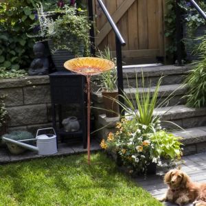 Abreuvoir Oiseaux Extérieur sur Pied 63x31cm Mangeoire Oiseaux Extérieur  en Verre Trempé