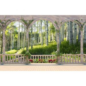 Papier Peint Photo INTISSÉ-(218580)-TERRASSE FORÊT-400x260cm-8 lés-Mural Poster Géant XXL-Bouleau