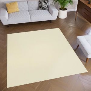 TAPISO Tapis de Salon Chambre Carré MONO Crème Design Uni Résistant Intérieur Extérieur 120x120 cm