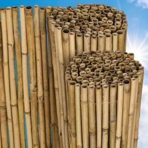 Sol Royal Canisse en bambou SolVision B38 Fence 150x250cm haie brise-vue brande jardin terrasse balcon - Protection regards vent