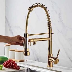 Robinet de Cuisine - LEYSHOP - Mitigeur à Ressort Double Sortie 360° Rotation - Doré