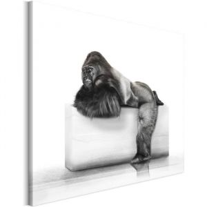 Tableau Art Peinture - Oreiller Animaux Gorille Noir Blanc - 40x60cm - Multicolore - Chambre - Objets d&eacute;coratifs