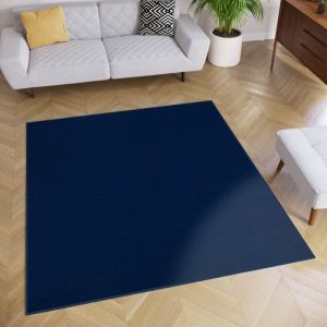 TAPISO Tapis de Salon Chambre Carré MONO Bleu Pétrole Design Uni Résistant Intérieur Extérieur 160x160 cm