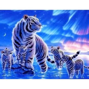5D diamond painting5D Broderie Diamant Tigre kit Peinture Diamant kits Craft Photos pour Home D&eacute;coration Murale30&times;40cm