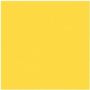 Lot de 12 serviettes - DUNI - Jetable - Dunisoft bio - 4 plis - 40x40cm - Jaune