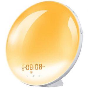 REVEIL SIMULATEUR DAUBE Réveil lumineux Wake UpFM Radio Réveil Horloge Dual Alarme8 sons naturels et Capteur tactileFonction S