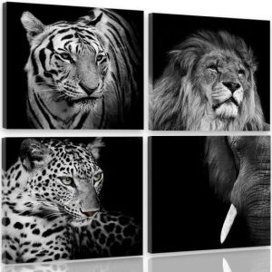 Tableau Décoration Murale animaux sauvages 100x100 cm Impression sur Toile tigre éléphant lion léopard composition Noir et blanc