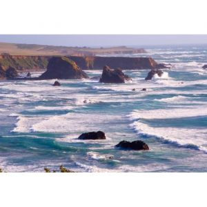 Papier Peint Photo INTISSÉ-(221117)-CÔTE DE CARLIFONIE-500x280 cm-10 lés-Mural Poster Géant XXL-Animaux Plage Dune Mer Océan Nature