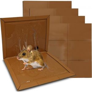 Pieges a Colle Souris Rat Glue Deratisation Attrape Souris Professionnel Alternative Raticide Souricide Tapette Anti Rongeurs