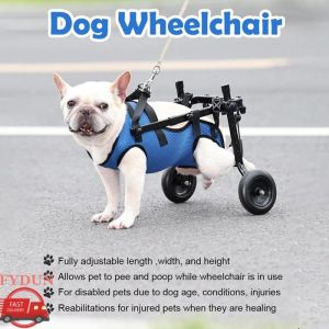 FYDUN Fauteuil roulant pour chiens pour pattes arri&egrave;res petites Fauteuil roulant pour chiens pour pattes animalerie kit Bleu M