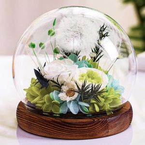 Id&eacute;e Cadeau Pissenlit en Verre Cadeau de F&ecirc;te des M&egrave;res pour Femme Petite Amie Enseignantes MamanGrand-M&egrave;re Fleur sous Cloche