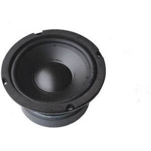 Fenton WPP13 Haut-parleur de graves - Cône 5.25 pouces (13 cm) 150 Watts max Suspension mousse Bobine résistante à la chaleur
