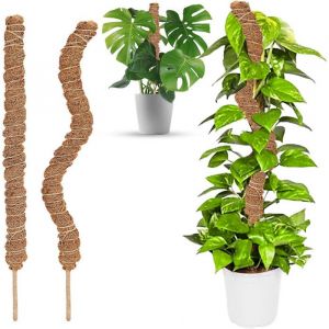 2PCS Tuteur Plante Pliable 60 cm Long Plante Tuteur Coco Support pour Plante Grimpante Grimpante Support pour Plante Monstera