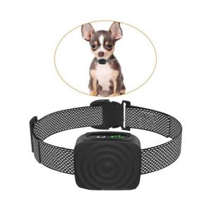 Collier pour chien de petite/moyenne taille 5 &agrave; 15 lb sans choc rechargeable anti-aboiement avec sensibilit&eacute; et force r&eacute;glabl