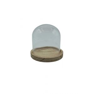 Cloche en verre MAMIKATOU avec socle en bois dimension 10*10 cm