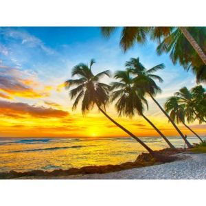 Papier Peint Photo INTISS&Eacute;-(378V) BARBADE PALM BEACH-350x260cm-7 l&eacute;s-Mural Poster G&eacute;ant XXL-Mer Beach Mer Oc&eacute;an Nature Jungle For&ecirc;t