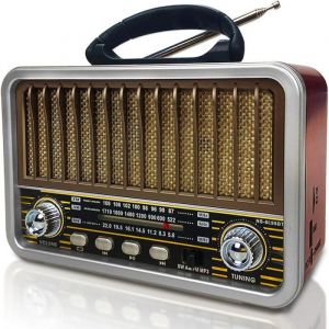 Poste Radio Portable AM/SW/FM Petite Radio Vintage Transistor Radio a Pile avec Fonction TWS/USB/TF Card/BT5.0 Radio Portable