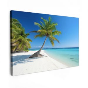 Impression sur Toile 150x100 cm - D&eacute;coration Murale Peinture - Motif Palmier - MuchoWow