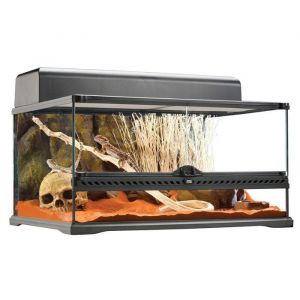 Terrarium 60x45x30cm Exo Terra
