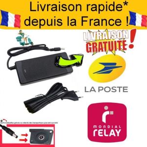 Chargeur trottinette électrique Wispeed T855 Surpass 8 proGo ride 42v pour batterie 36v SEEDTECH EXPEDITION DEPUIS LA FRANCE