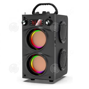 INN Enceinte bluetooth 50W 4000mAh enceinte portable avec 2 microphone  basses percutantes haut-parleur pour la maison et