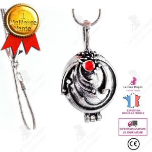 LCC® Collier pendentif rétro mode vampire diaries Elena Gilbert prairie verveine médaillon féminin chaine tendance fans argenté