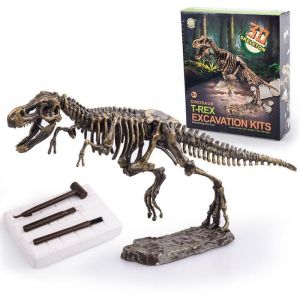 TD® Dinosaure Squelette Excavation Archéologique Jouets Pour Enfants Jurassic Tyrannosaurus Rex Tyrannosaurus Dinosaure Jouets