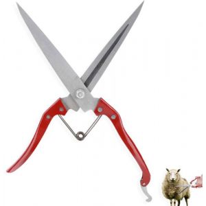 Taille-Sabot de Ch&egrave;vreCiseaux de ch&egrave;vreCisailles &agrave; Moutons manuelles de 12 PoucesCiseaux de Coupe de Laine dacier Inoxydable