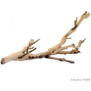 EXO TERRA Décoration Pied de vigne sablé - Petit modèle - Pour terrarium