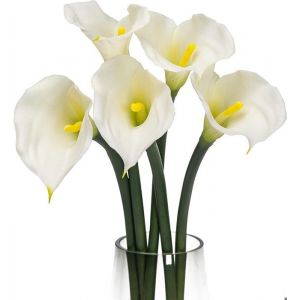 Bouquet de 10 fleurs artificielles Calla Lilly 34 cm en latex