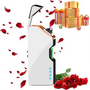 Briquet Électrique CadeauBriquet USB Rechargeable Briquet Electrique Double Arc avec LED Indicateur Anti-Vent Briquet (Argent)