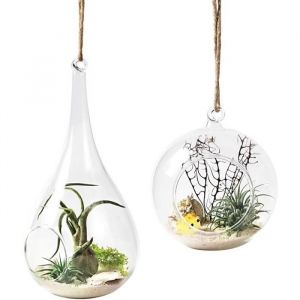 Vase &agrave; suspendre en boule de verre - ZGEER - Lot de 2 - Installation suspendue - Verre borosilicat&eacute;