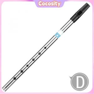 Cocosity Fl&ucirc;te Irlandaise en R&eacute; 6 Trous Fl&ucirc;te &agrave; Vent pour D&eacute;butants Intermediaires Experts