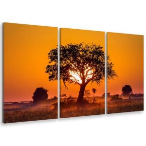 Tableau triptyque deco cache cache et coucher de soleil - 90x60 cm
