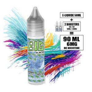 E-LIQUIDE - BIGJUICE - 70ML avec 6MG de nicotine - SAVEUR : MENTHE GLACIALE