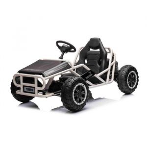 Voiture électrique - BENEO - SPORT-CART - 24V - 2 moteurs 50W - Design sportif et sécurisé