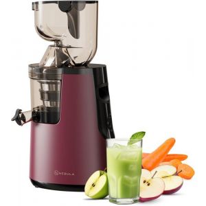 Red Grande 45Rpm Juicer Extracteur De Jus Pour Fruits Et Légumes Presse-Agrumes Électrique Sorbetière Et Machine À Glace