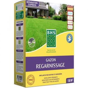 Gazon Regarnissage Terrain Sec - BHS - 3kg  150 m&sup2;  R&eacute;sistant et durable avec excellente p&eacute;rennit&eacute; et tol&eacute;rance aux pi&eacute;tinements.