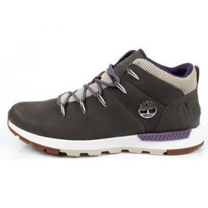Chaussures Homme TIMBERLAND Sprint Trekker en Cuir Noir - Lacets Plats