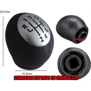 POMMEAU DE LEVIER 6 VITESSES pour RENAULT Laguna 2 Megane 2 Scenic 3 Espace 4