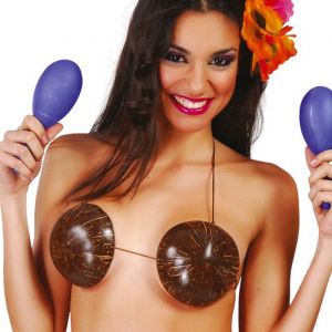 PAIRE DE MARACAS PLASTIQUE COLOR&Eacute; 18CM