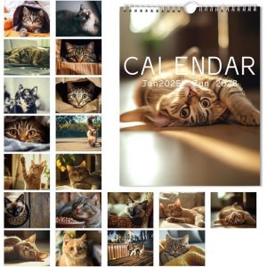 Calendrier Mural 2025-2026 28x22cm Th&egrave;me Chat Janvier 2025-Juin 2026 Calendrier Esth&eacute;tique Calendrier 18 Mois Agenda